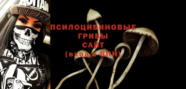 гидра Кукмор
