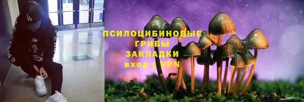 каннабис Куйбышев