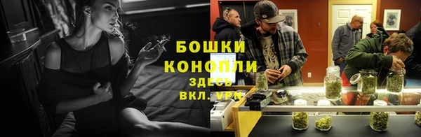 крисы Костерёво