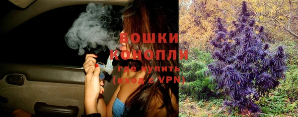 гидра Кукмор