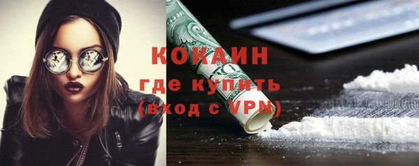 гидра Кукмор