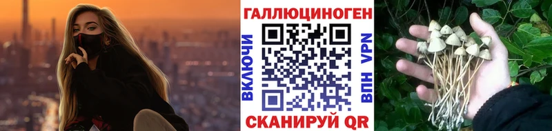 Галлюциногенные грибы Psilocybine cubensis  MEGA ссылки  Мелеуз  купить закладку 